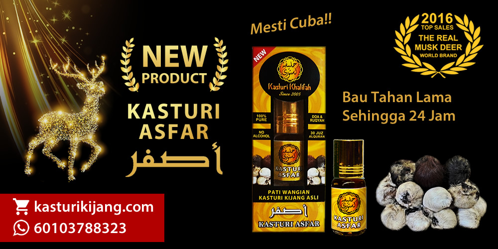 Kasturi Asfar - Pati Kasturi Kijang Pure Musk Deer 