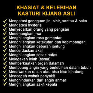 Asli kasturi kijang Kasturi Kijang